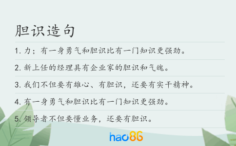 胆识造句