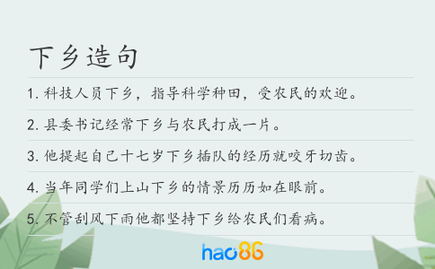 下乡造句
