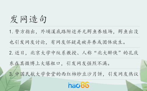 发网造句