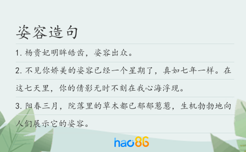 姿容造句