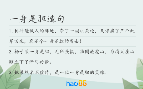 一身是胆造句