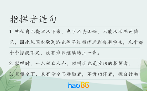 指挥者造句