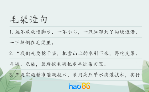 毛渠造句