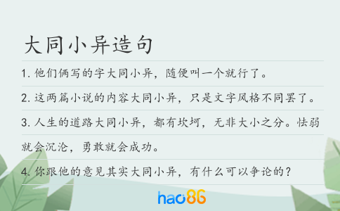 大同小异造句