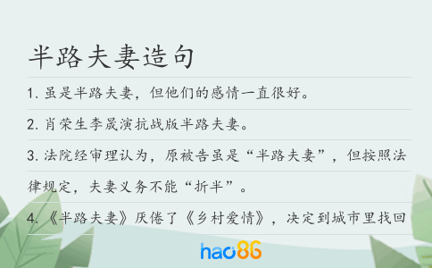 半路夫妻造句