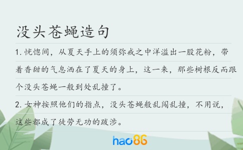 没头苍蝇造句