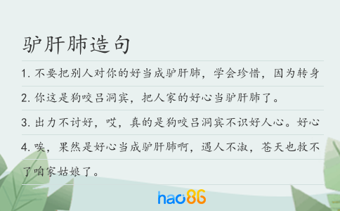 驴肝肺造句