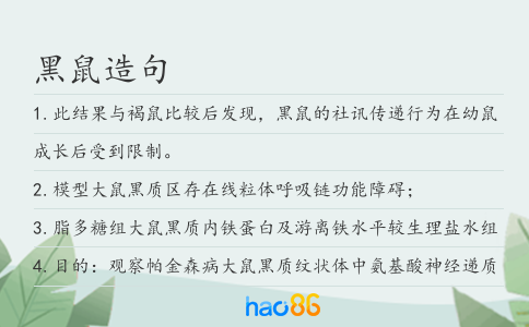 黑鼠造句