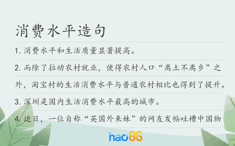 消费水平造句