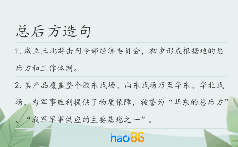 总后方造句