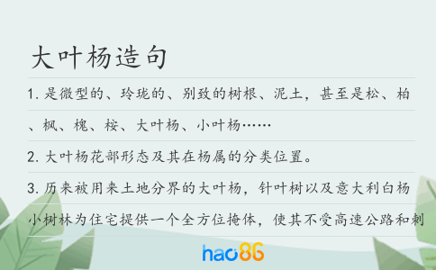 大叶杨造句