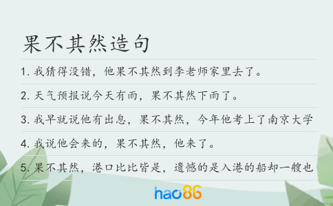 果不其然造句
