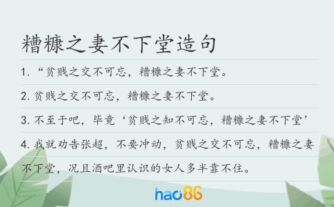 糟糠之妻不下堂造句
