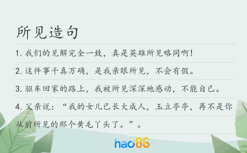 所见造句