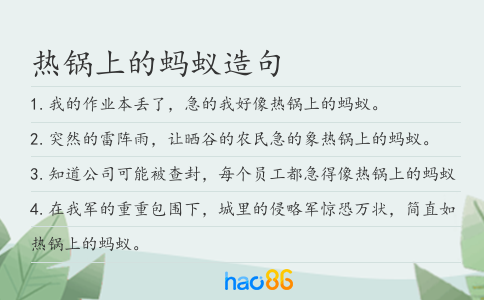 热锅上的蚂蚁造句