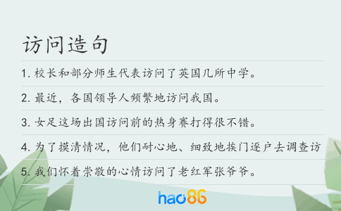 访问造句
