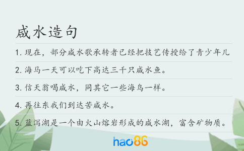 咸水造句