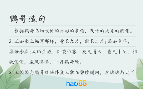 鹦哥造句