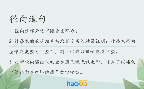 径向造句