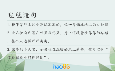 毡毯造句