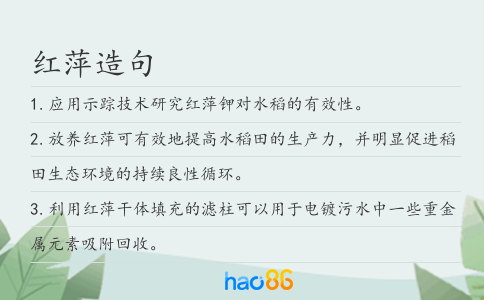 红萍造句