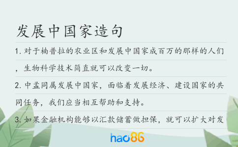 发展中国家造句