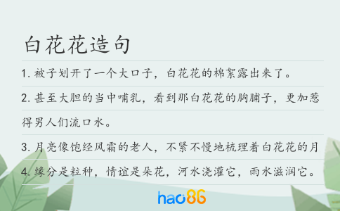 白花花造句