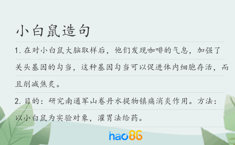 小白鼠造句
