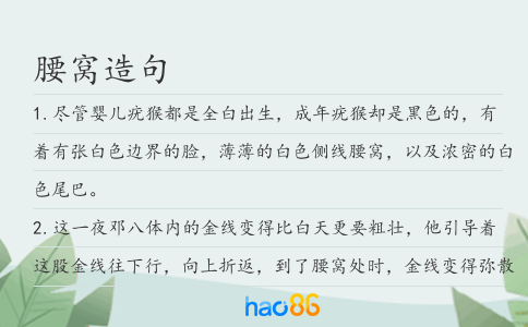 腰窝造句