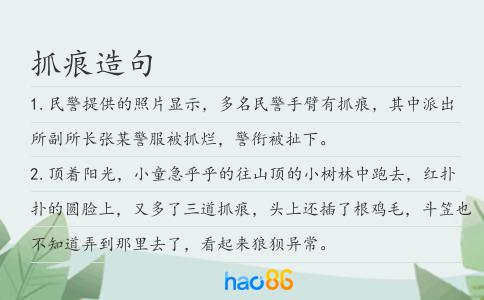 抓痕造句
