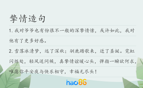 挚情造句