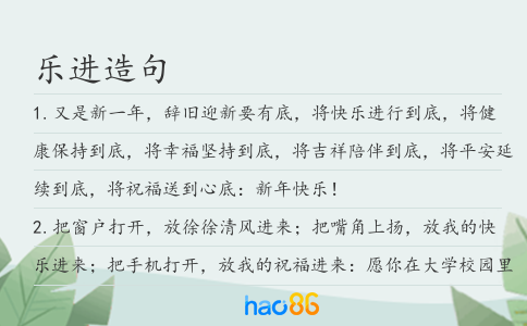 乐进造句