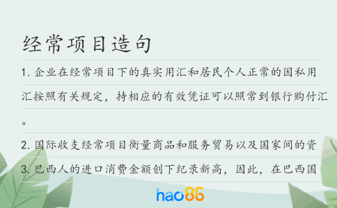 经常项目造句