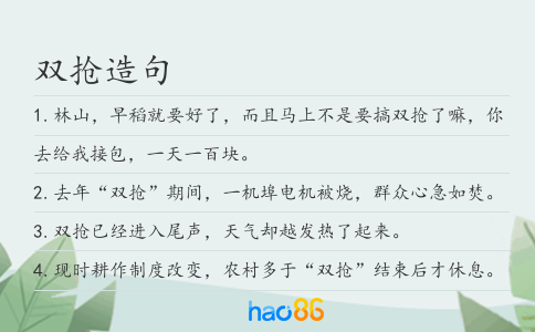 双抢造句