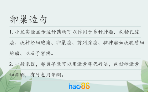 卵巢造句