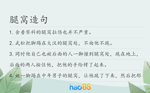 腿窝造句
