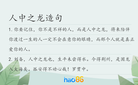 人中之龙造句