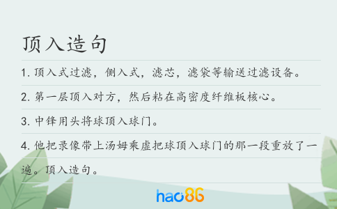 顶入造句