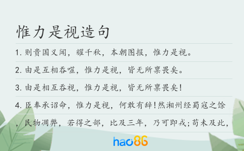 惟力是视造句