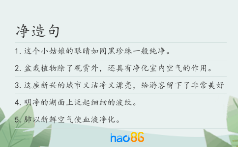 净造句