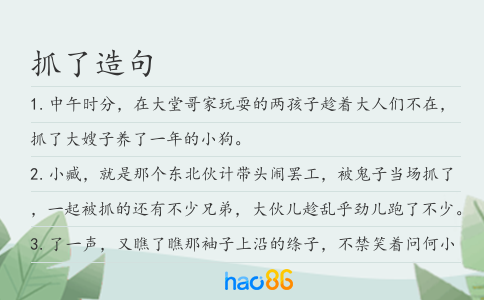 抓了造句