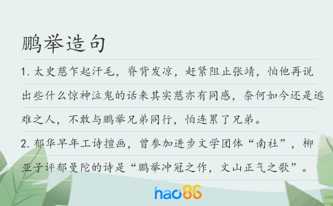 鹏举造句