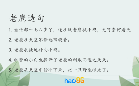 老鹰造句