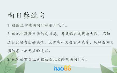 向日葵造句
