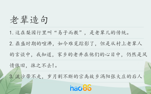 老辈造句