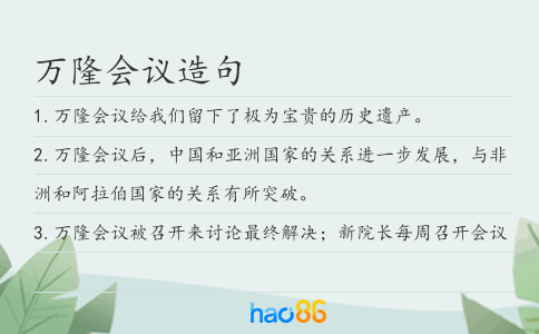 万隆会议造句