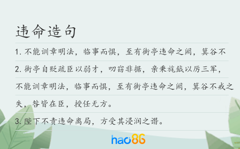 违命造句