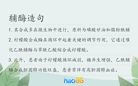 辅酶造句