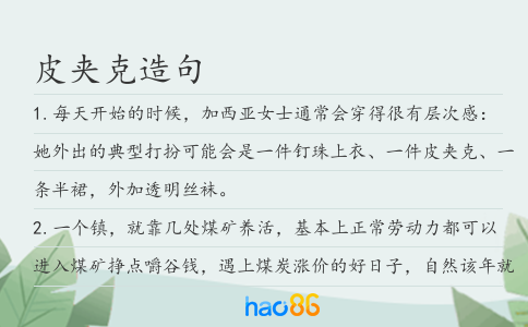 皮夹克造句