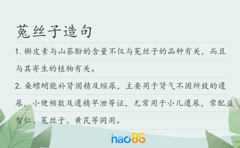 菟丝子造句